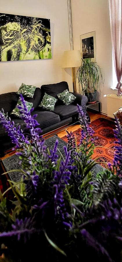 Bright Studio Close To Zaventem Airport 브뤼셀 외부 사진
