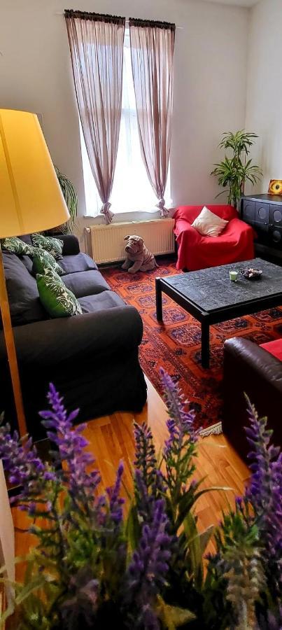 Bright Studio Close To Zaventem Airport 브뤼셀 외부 사진